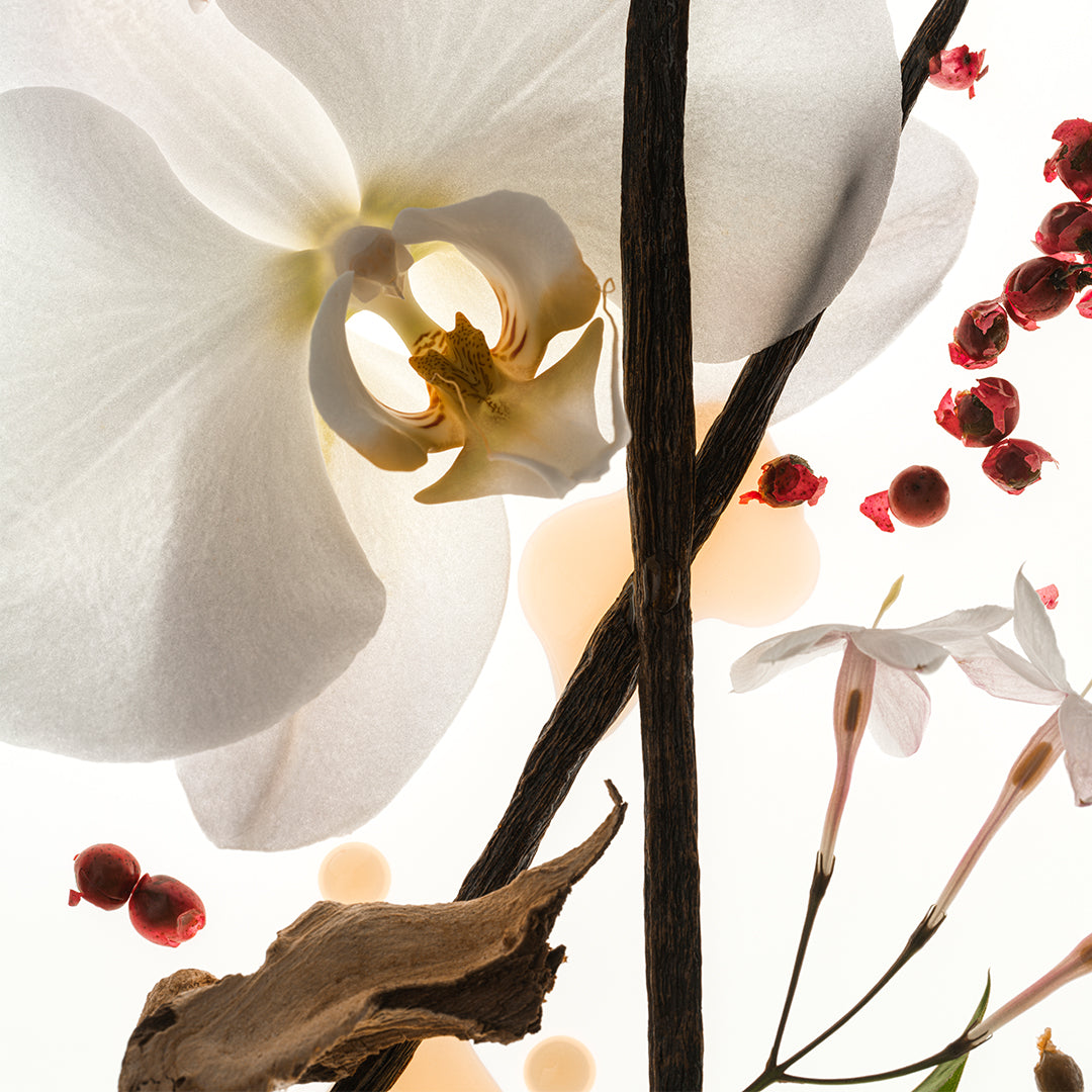 Vanilla Skin Perfume - 100mL Fragrance - Image 3