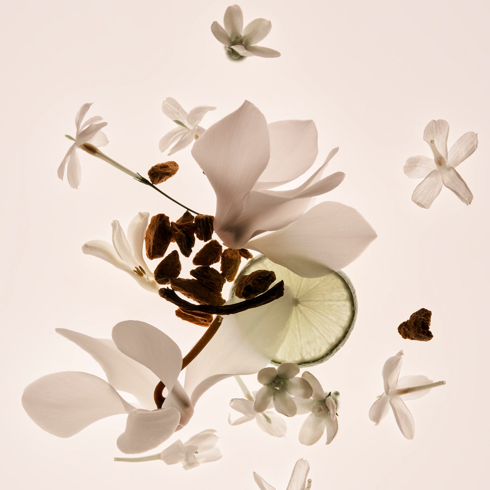 Missing Person Perfume - Full Size Fragrance - Image 4